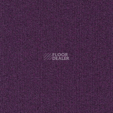 Ковровая плитка Modulyss Millennium Nxtgen Millennium Nxtgen 411 фото 1 | FLOORDEALER